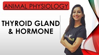 Thyroid Gland and it's Hormone | Animal Physiology| CSIRNET | GATE | IITJAM | 11th class |GAT B |