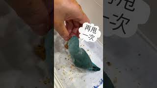 太平洋鸚鵡阿飽～ #parrot 把阿飽不愛吃的滋養餐丸，做成棍子餅乾，非常喜歡忍不住一直搖奶昔😁