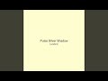 Pulse Silver Shadow