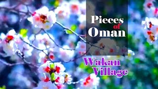 Wakan village in Sultanate of Oman