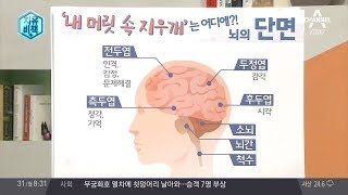 내가 설마 치매?! 뇌 활력도 자가 진단법 | 김현욱의 굿모닝