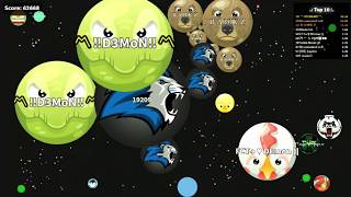 Agar.io / Solo Lion Vs 1001 Teams / New Agario Cell.sh