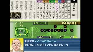 【ダビつく5】ダービー馬をつくろう5　その12