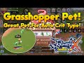 Capturing Grasshopper Pet Good For Auto Attack Crit Type Character [ROX]