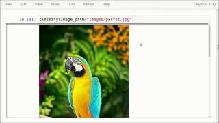 TensorFlow Tutorial #07 Inception Model