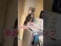 おはようございます good moaning！ cat rescuecats 猫のいる暮らし 猫好きさんと繋がりたい