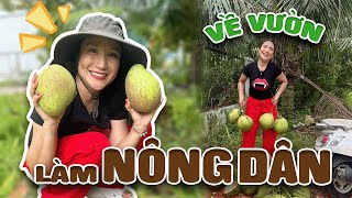 CHA CON CÁT TƯỜNG THU HOẠCH VƯỜN NHÀ !!!