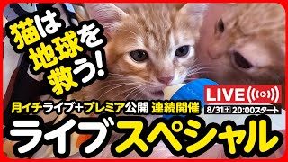 🔴【ライブ記録】猫は地球を救う！ライブスペシャル🌍️