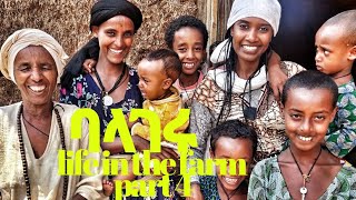 ባላገሩ ክፍል ፬ life in the farm part 4.