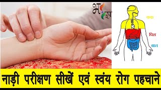 नाड़ी परीक्षण द्वारा सभी रोगो की पहचान कैसे करें ? How to identify all diseases by pulse test?