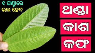 ୧ ଥର କେବଳ ଏହି ପତ୍ରର କାଢ଼ା ବନେଇ ପିଅନ୍ତୁ (ଥଣ୍ଡା,କାଶ,କଫ)ତୁରନ୍ତ ଭଲ ହୋଇଯିବ| Cold \u0026 Cough Home Remedy odia