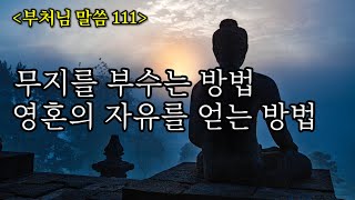 영혼의 자유를 얻는 방법 #진리 #인생 #부처님말씀