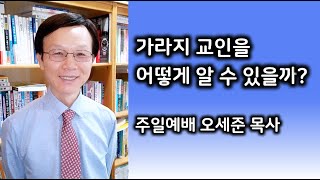 "가라지 교인을 어떻게 알 수 있을까?"  오세준목사 새누리교회