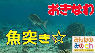 【魚突き】沖縄でも突きまくり助かりま～す！