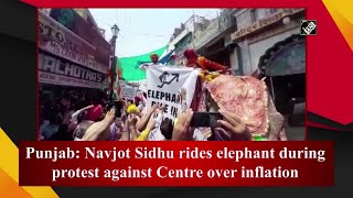 Punjab: Navjot Sidhu rides elephant during protest against Centre over inflation