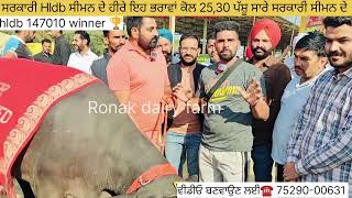 Hldb 147010 winner 🏆, ਸਰਕਾਰੀ ਸੀਮਨ ਹੀ ਵਰਤੋਂ ਜੇ ਘਰ ਦੀ ਨਸਲ ਤਿਆਰ ਕਰਨੀ