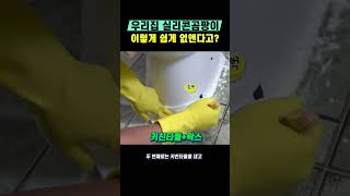 좀비 같은 화장실 곰팡이 이것으로 제거 가능하다고??