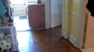 SDC12768.AVI