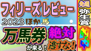 フィリーズレビュー2023予想　競馬予想＆競馬雑談