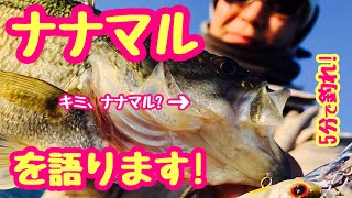 【5分で釣れ！】ナナマルを語ります！【琵琶湖バス釣り】