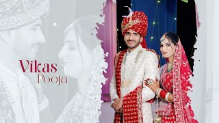 Vikas + Pooja / Wedding Highlight 2024/ Sri Ganganagar #weddinghighlights #weddingcinematic