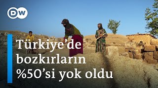 Yaşam kaynağı bozkırlar | “Göbeklitepe orada tesadüfen kurulmadı” - DW Türkçe