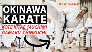 EPIC KARATE SEMINAR | Kote Kitae, Crossfit \u0026 Chinkuchi — Jesse Enkamp