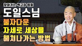 |도일스님(관음사)| 불자다운 자세로 세상을 살아가는 방법-찾아가는 백고좌법회