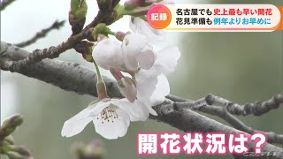 「ことしの花見はお早めに…」名古屋のサクラ“最速”で開花 名古屋城や鶴舞公園の開花状況は？