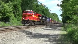 NS 8114, UP 2001, and ex AWVR 767 all on NS 37A