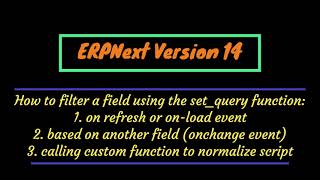 ERPNext V14: How to filter a field based on another field and calling a custom function