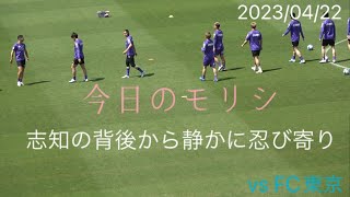 今日のモリシ　志知の背後から獲物を狙うように忍び寄るモリシ　サンフレッチェ広島vs  FC東京　2023/04/22 エディオンスタジアム広島　ラストイヤー