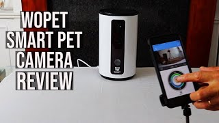 Wopet Smart Pet Camera And Treat Dispenser Review