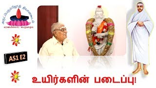 AS1E2 | உயிர்களின் படைப்பு !