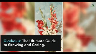 Gladiolus The Ultimate Guide to Growing and Caring