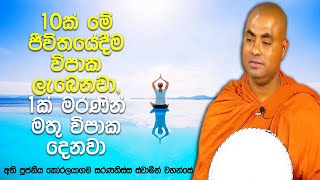 අනන්ත සක්වල අනන්ත ජීවීන්ට මෛත්‍රී වැඩුවොත් අපිට ලැබෙන ආනිසංස 11 | Koralayagama Saranathissa Thero