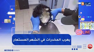 أونلاين : القبض على رجل يهرب ممنوعات في شعره