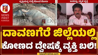 Davanagere ಜಿಲ್ಲೆಯಲ್ಲಿ ಕೋಣದ ದ್ವೇಷಕ್ಕೆ ವ್ಯಕ್ತಿ ಬಲಿ | Niraganti Jayanna | @newsfirstkannada