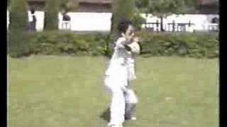 洪敦品 CHINESE kongfu  螳螂拳 武当 少林 Tanglang Wushu GongFu 武术 功夫