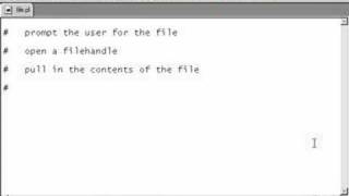 Perl Tutorials -Part 77- An interactive shell script