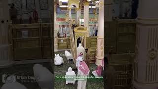 Riaz Ul Jannah Madina Masjid Nabawi History & Ziyarat #shorts #masjidnabawi #madina #youtubeshorts