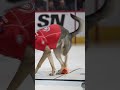 amazing goaltending dog only stops pucks 🐶 hockey shorts