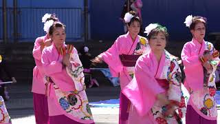 第19回 東京よさこい2018 「東京よさこい 桜舞」  池袋西口公園会場