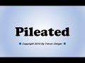 How To Pronounce Pileated