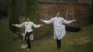 Wudang Ba Duan Jin (Eight Brocades) Qi Gong - Training Routine Tutorial - With Milo the Cat!