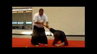 The three pillar's of Aiki- Ikkyo, Nikkyo & Sankyo from a straight punch.