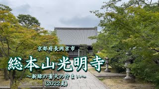 京都府長岡京市　総本山光明寺　～新緑の曇天の佇まい～　(2022夏)