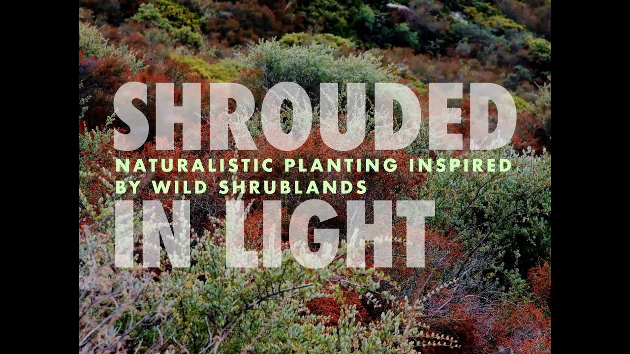 Shrub Communities Nature S Blueprint For Resilient Landscapes Expert