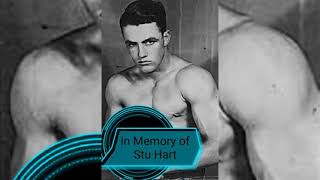 In Memory of Stu Hart