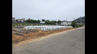 [부동산백화점]708.삼호읍 토지가 주거지역이고 아담해서 좋네요~삼호읍땅매매 삼호읍토지매매 삼호읍원룸부지 영암삼호읍토지 영암삼호읍땅 삼호읍상가부지 삼호읍전원주택지 삼호읍부동산